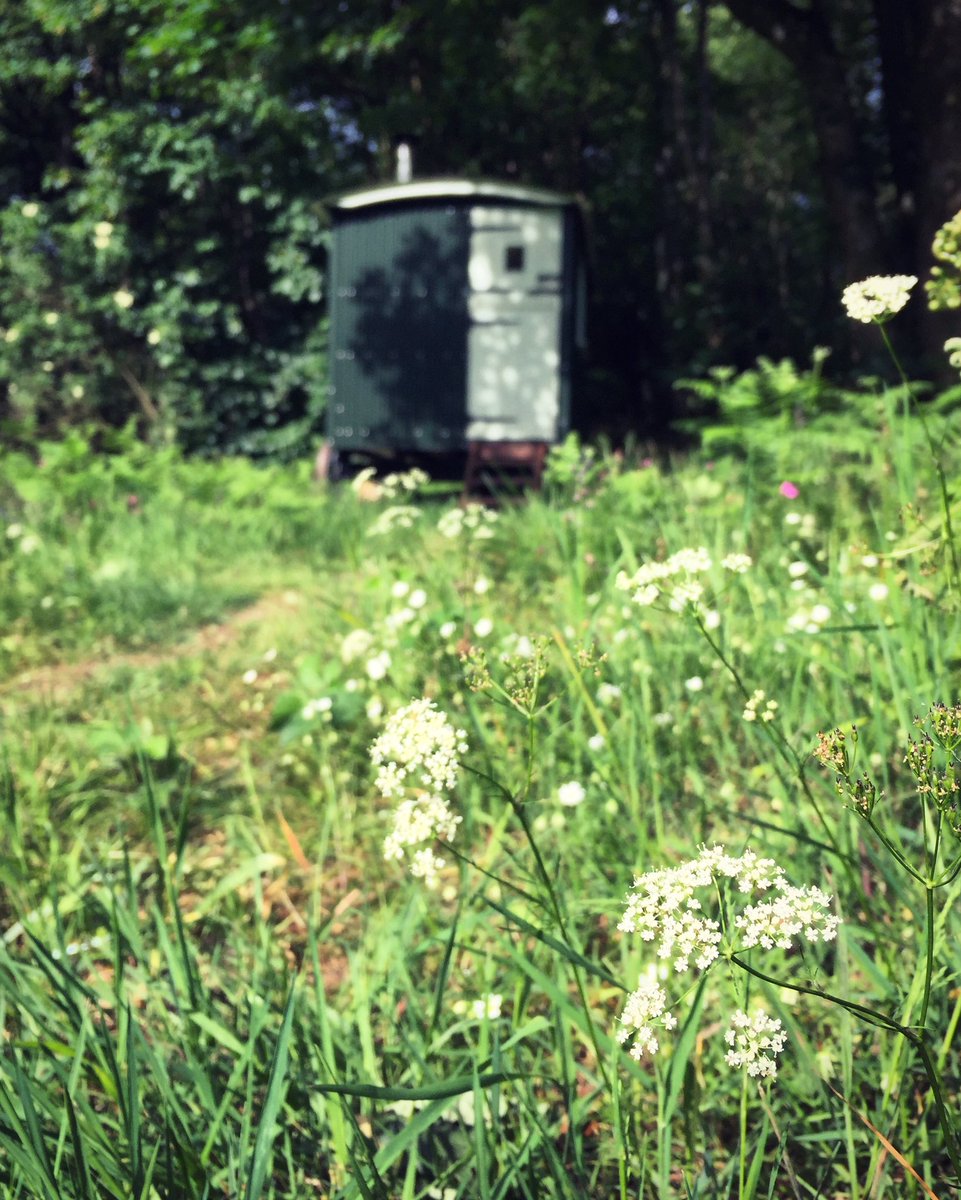 GreenEscapeUK's tweet photo. What a beauty of a weekend! Enjoy all your adventures 🌿#Glamping #weekendfun https://t.co/bFT5c2UrDr
