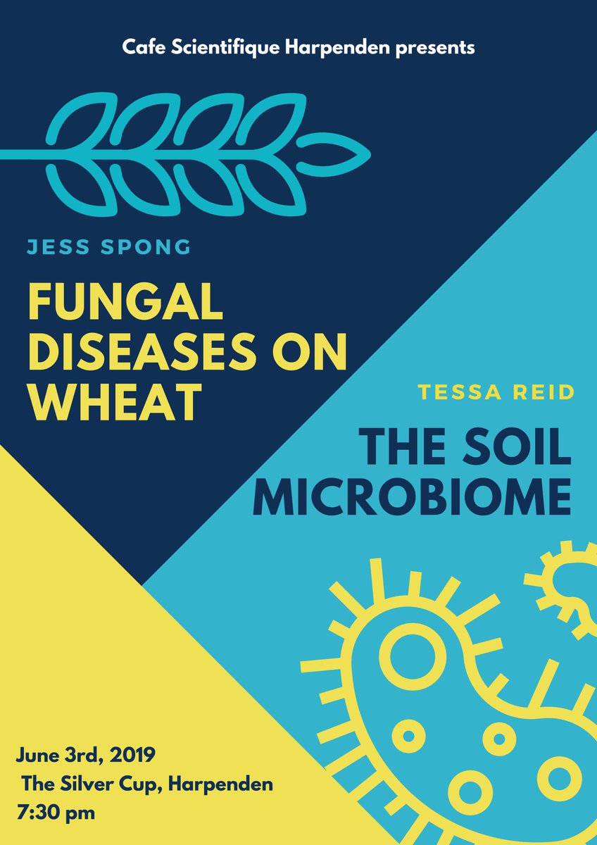 CSHarpenden's tweet image. On Monday night we have a special edition of Cafe Scientifique! Jess Spong and Tessa Reid @tessareid55 will be presenting on their PhD projects Fungal Pathogens of Wheat and The Soil Microbiome. Join us from 19:30 at @TheSilverCup to find out more!