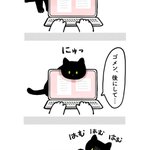 構って欲しい猫ちゃんがキュートすぎ!でもノートパソコンだけは踏まないでね!