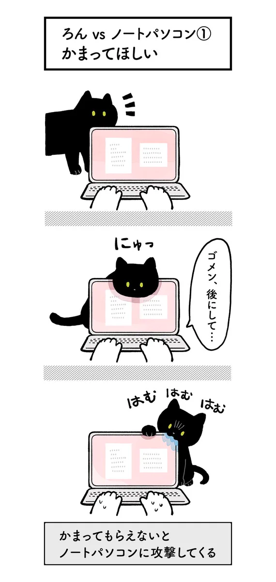 構って欲しい猫ちゃんがキュートすぎ！でもノートパソコンだけは踏まないでねｗｗｗ