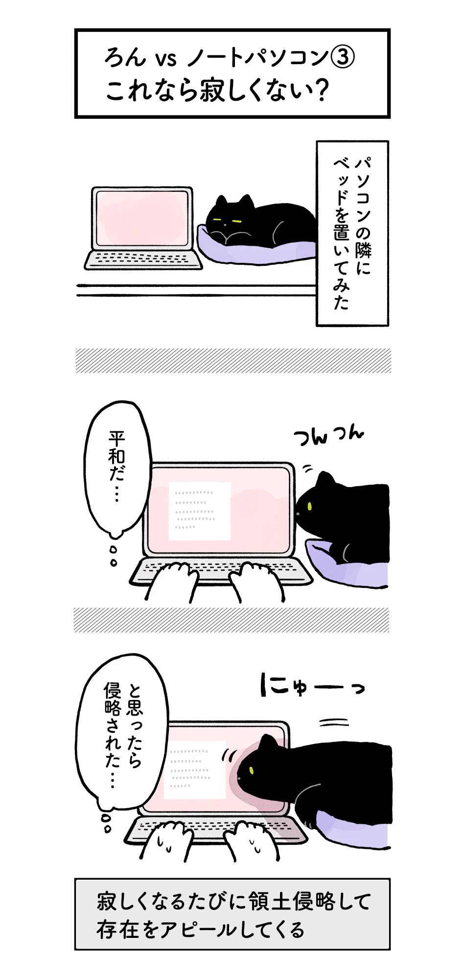 構って欲しい猫ちゃんがキュートすぎ！でもノートパソコンだけは踏まないでねｗｗｗ