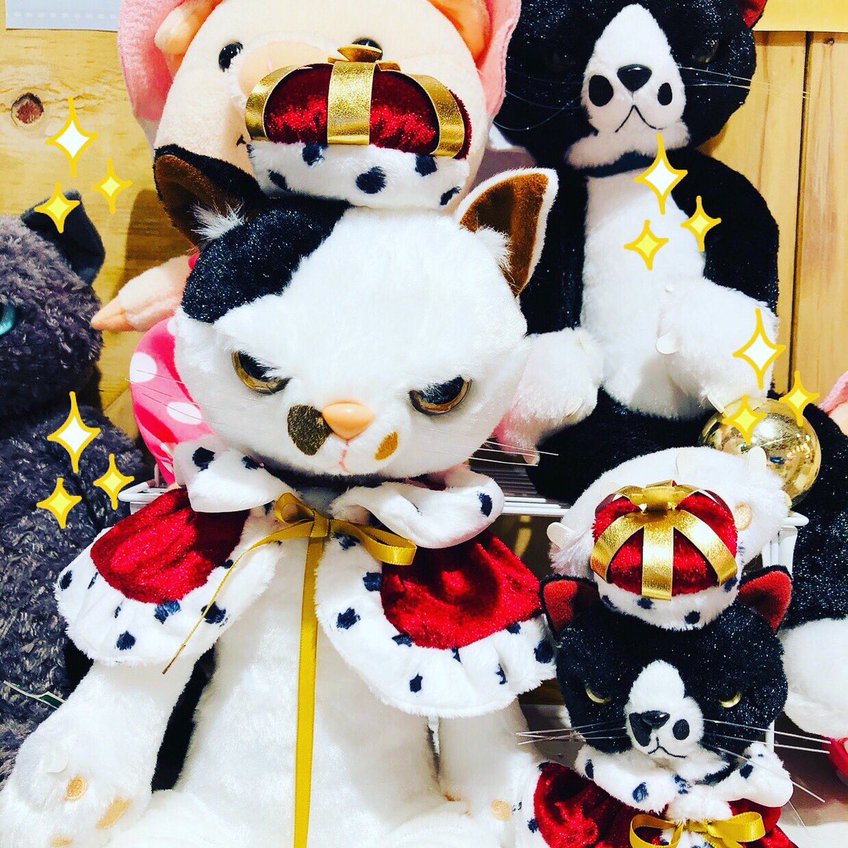 スクラッチキャット