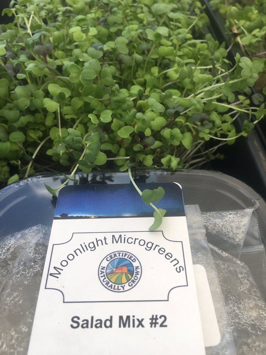 OnslowFarmersMarket tweet media