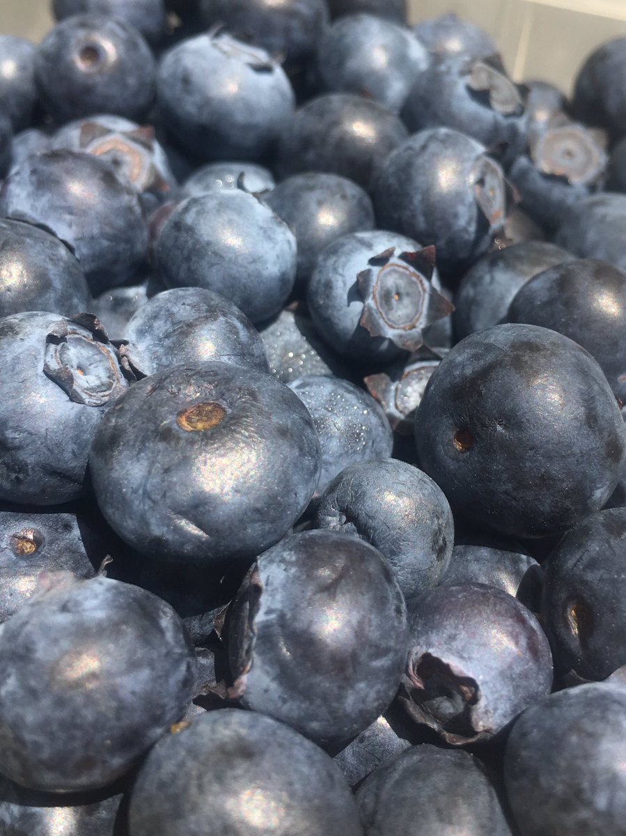 OnslowFarmersMarket tweet media