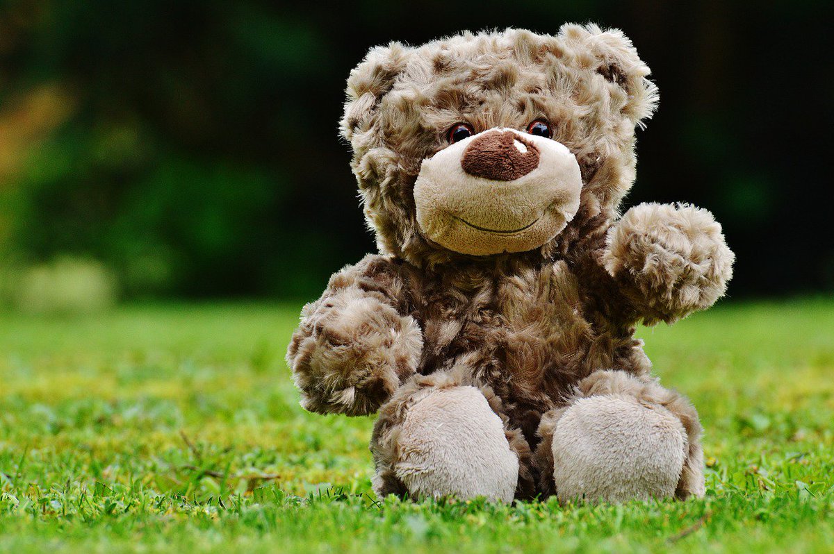 We're having a special Teddy Bears' Picnic at our Toddler Group session on Weds 19th June at 10am. Email marketing@prebendalschool.org.uk if you'd like to come along with your little one! @ChichesterBID #westsussextoddlergroups
