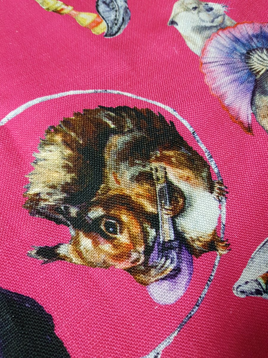CRUKHighgate's tweet photo. A beautiful pair of cushion covers from the #houseofhackney  #hackneyempire #velvetpink print range of Animals. NEW 60cmSq heading off to our eBay account. Happy bidding #Badgers ##raccoons #hedgehogs https://t.co/VmFyzOXR1c