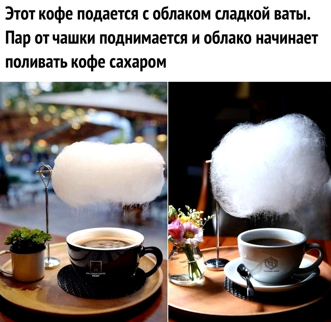 Чистый позитив (@purepositive_ru) on Twitter photo 