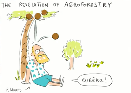 IvanaRadicJean's tweet photo. #Trees are #security ! Rowan Reid  Farmer, Author of “Heartwood: the art and science of growing trees for profit” 

#ARTrees #Agroforestry2019 @GAEAlliance @PDMyriam https://t.co/xR2cRBM8A8