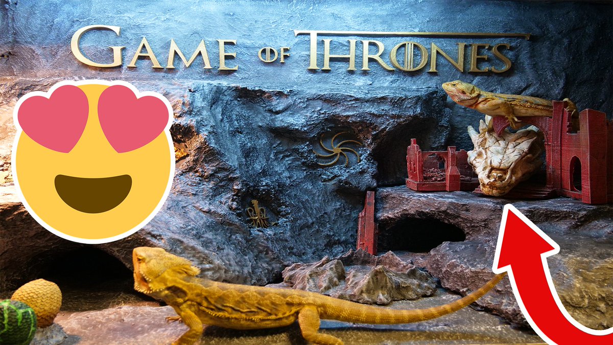 BarksPets's tweet photo. The #GameOfThronesFinale is here! So we made a GOT themed #Vivarium for our Bearded Dragons. https://t.co/NFOAiSu5dQ
#GameOfThrones #GameofThronesSeason8  #Reptile #Barkspets #GOT #DIY #GOTSeriesFinale #Danaerys #JonSnow #ForTheThrone #Tyrion #HBO #threeeyedraven #AryaStark https://t.co/bg4AlIuKNj