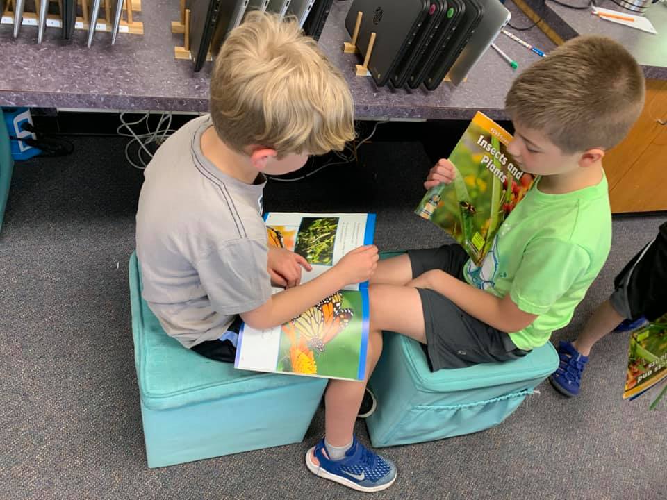 Second grade is learning about bugs and plants. #heights4kids