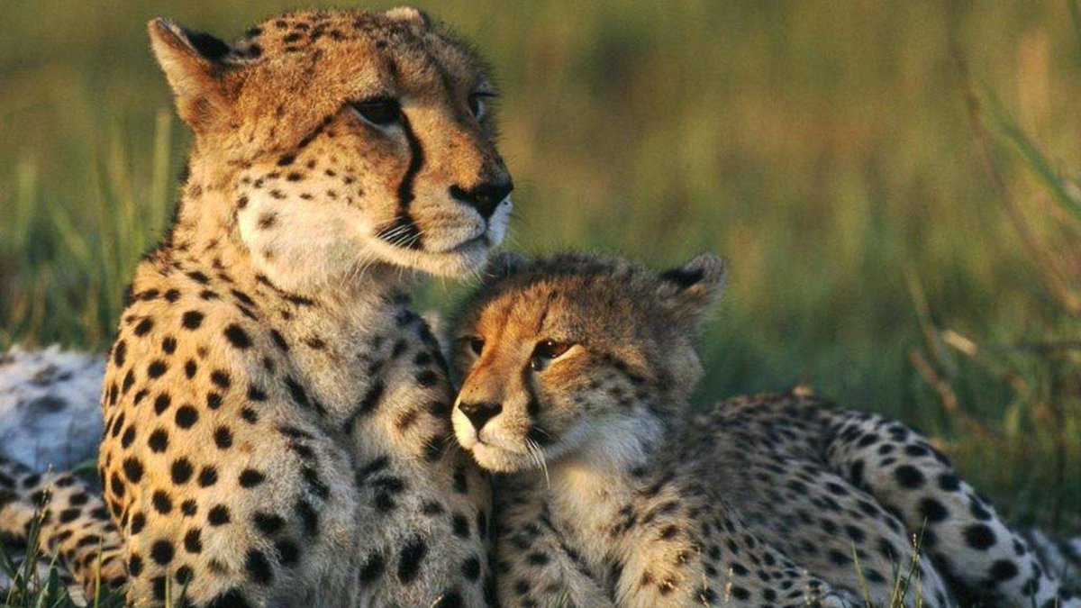 GoHop_ie's tweet photo. Have you entered our Huge Namibia #Competition Yet?? Don't Miss Our Biggest Holiday #Prize of 2019

😍 Win A Dream Trip Of A Lifetime to Namibia for 2 people (worth over €10,000) with thanks to Obeo Travel &amp; British Airways 😍

Enter Here ➡️ https://t.co/zqMqA1Skdd

ROI  #win https://t.co/kkJgyQ9THq