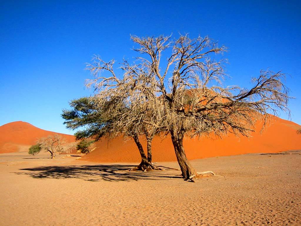 GoHop_ie's tweet photo. Have you entered our Huge Namibia #Competition Yet?? Don't Miss Our Biggest Holiday #Prize of 2019

😍 Win A Dream Trip Of A Lifetime to Namibia for 2 people (worth over €10,000) with thanks to Obeo Travel &amp; British Airways 😍

Enter Here ➡️ https://t.co/zqMqA1AIOD

ROI  #win https://t.co/TsW7ibYyps