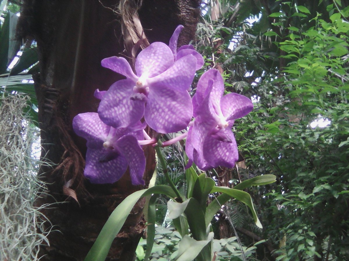 Good afternoon, my Friends☀️🌺Have a great week✌️