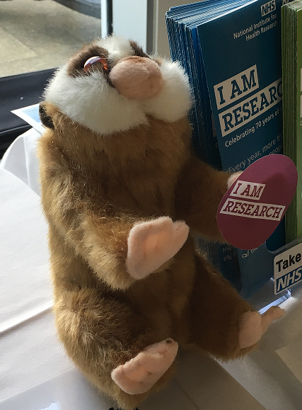 JenMYoung1's tweet photo. #BorisTheLoris helps out at the @OUHospitals International Clinical Trials Day stand.  To find out about the research being conducted into DCIS, visit the LORIS study website: https://t.co/HNutRoRY1F
#CTD2019 #DCIS @CRCTU https://t.co/bzEyjoc8QI
