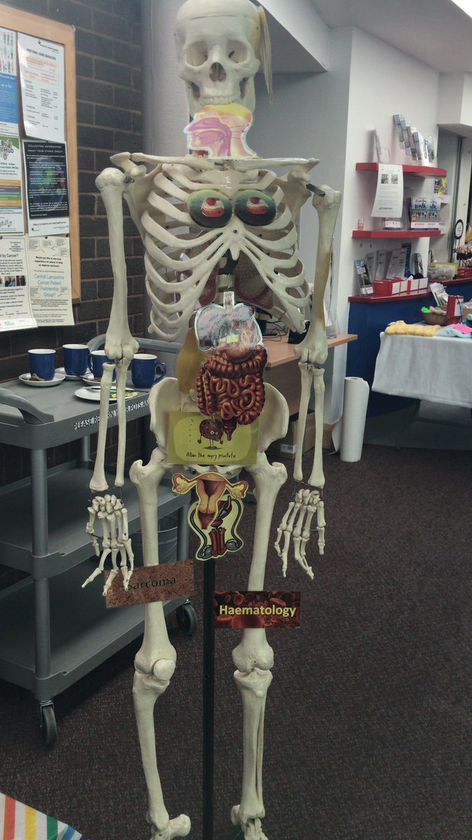 Anne Gardner tweet media