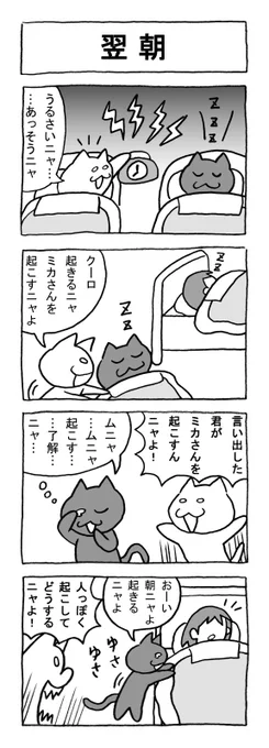 ねこまんがかいてみた116「翌朝」
#ねこ #猫 #猫漫画 #4コマ #4コマ漫画 #マンガ #ペット #早起き 