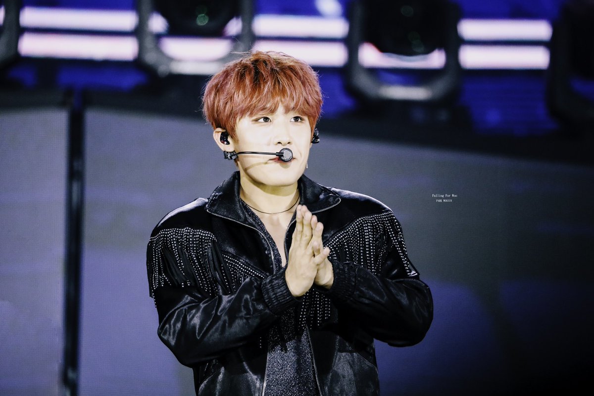 FallforWOO1102's tweet photo. 190518 드림콘서트 

🙏🏻👋🏻

#에이비식스 #박우진 #AB6IX #PARKWOOJIN https://t.co/AxRDCHoNKd