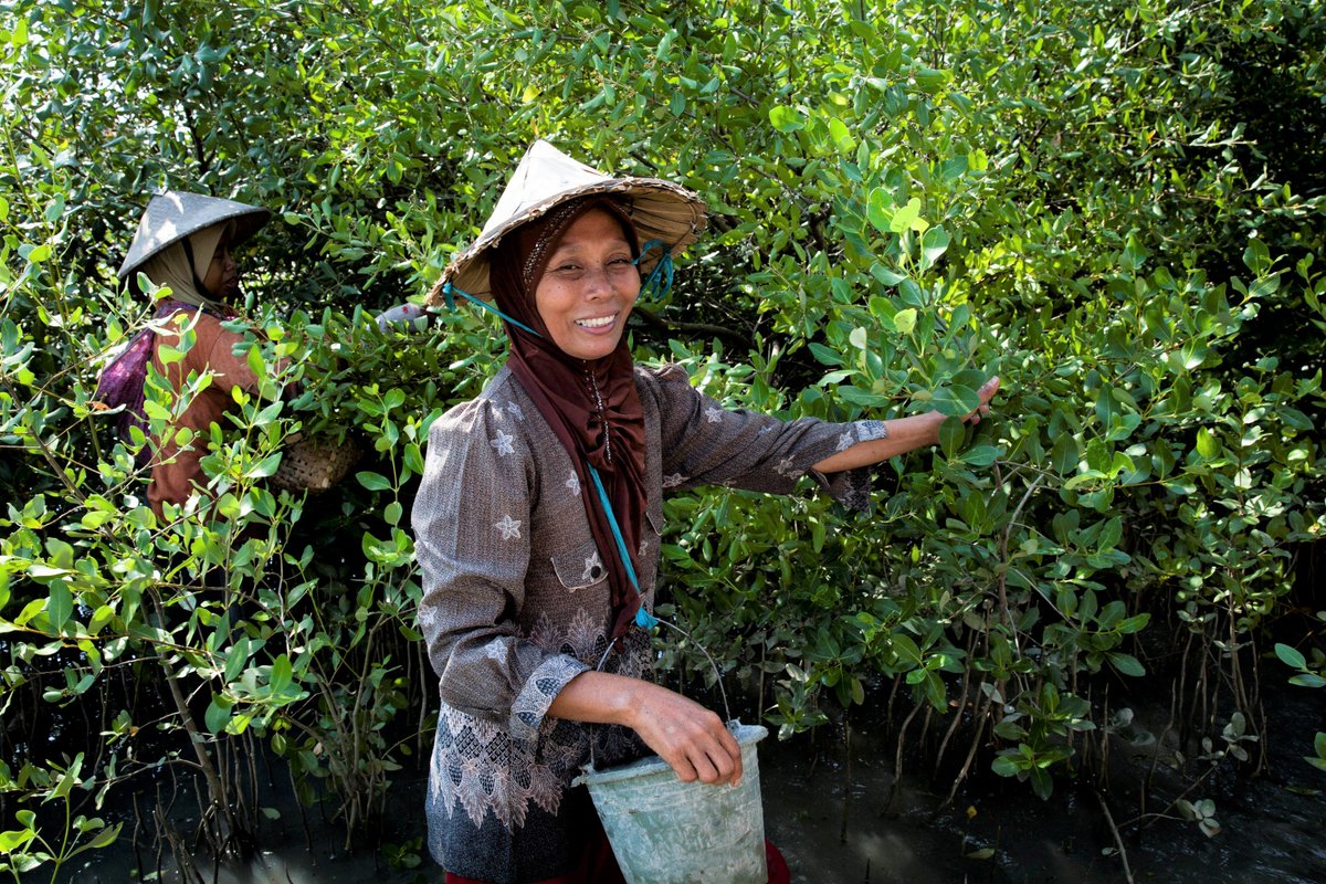 WetlandsInt's tweet photo. Wetland ecosystem & #NaturebasedSolutions lies at the heart of our work. We are happy that Chair's summary from #GP2019Geneva has recognised the importance of ecosystem-based #DRR & climate adaptation measures as crucial steps to reach #SandaiFramework.
Photo: Nanang Sujana https://t.co/gB1l8JpLu2