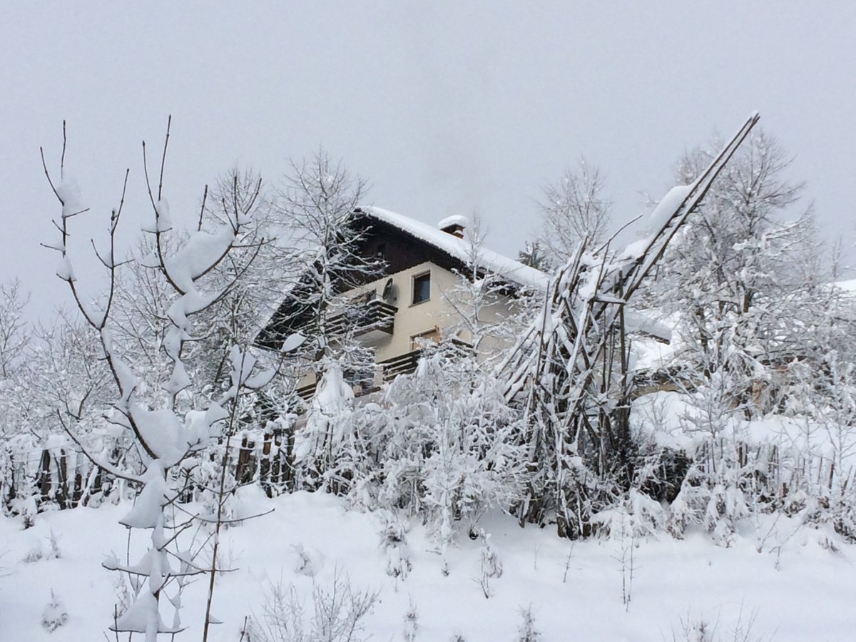 ESlovenica's tweet photo. Zima -Winter #Hill #hribe #mountains #etnobotanica #etnobotanika #drevesa #trees #winter #zima #snow #sneg #frost #narava #nature #forest #gozd #landscapes #naturephotography #instanature #Slovenija #Slovenia #javedi #ifeelslovenia #discoverslovenia #travel #instatravel #旅行 https://t.co/7f4xCZigfw