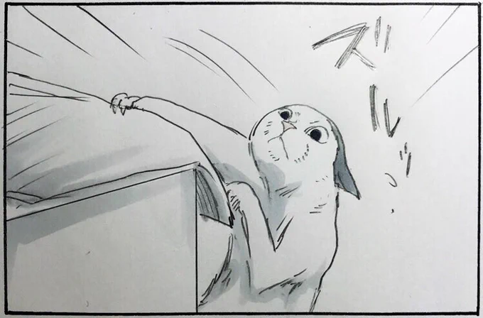 『無事でなにより』 