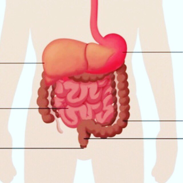 ChagaOrganics's tweet photo. More young people are being diagnosed with #bowelcancer. Studies highlight a sharp rise in rates in 20 to 29-yr olds. #Obesity &amp; poor diet could be factors. #Chaga works to aid #digestion &amp; counteracts #colorectalcancer #selfcare  #chagaorganicsuk @healthymag @MensHealthUK https://t.co/WzDBKV1lXT