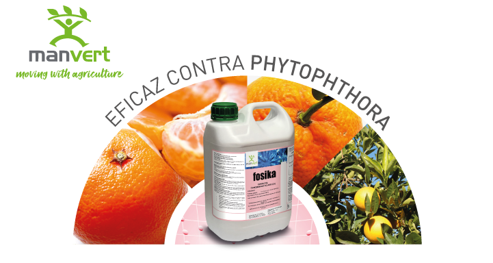 eComercioAgr's tweet photo. #Biovert ha lanzado un producto que controla de forma absoluta la #phytophtora en #cítricos🍊 desde la primera aplicación:

➡️Manvert fosika

@Manvertagricola

https://t.co/cE9H2H5VtQ https://t.co/mlY1k0WOEV