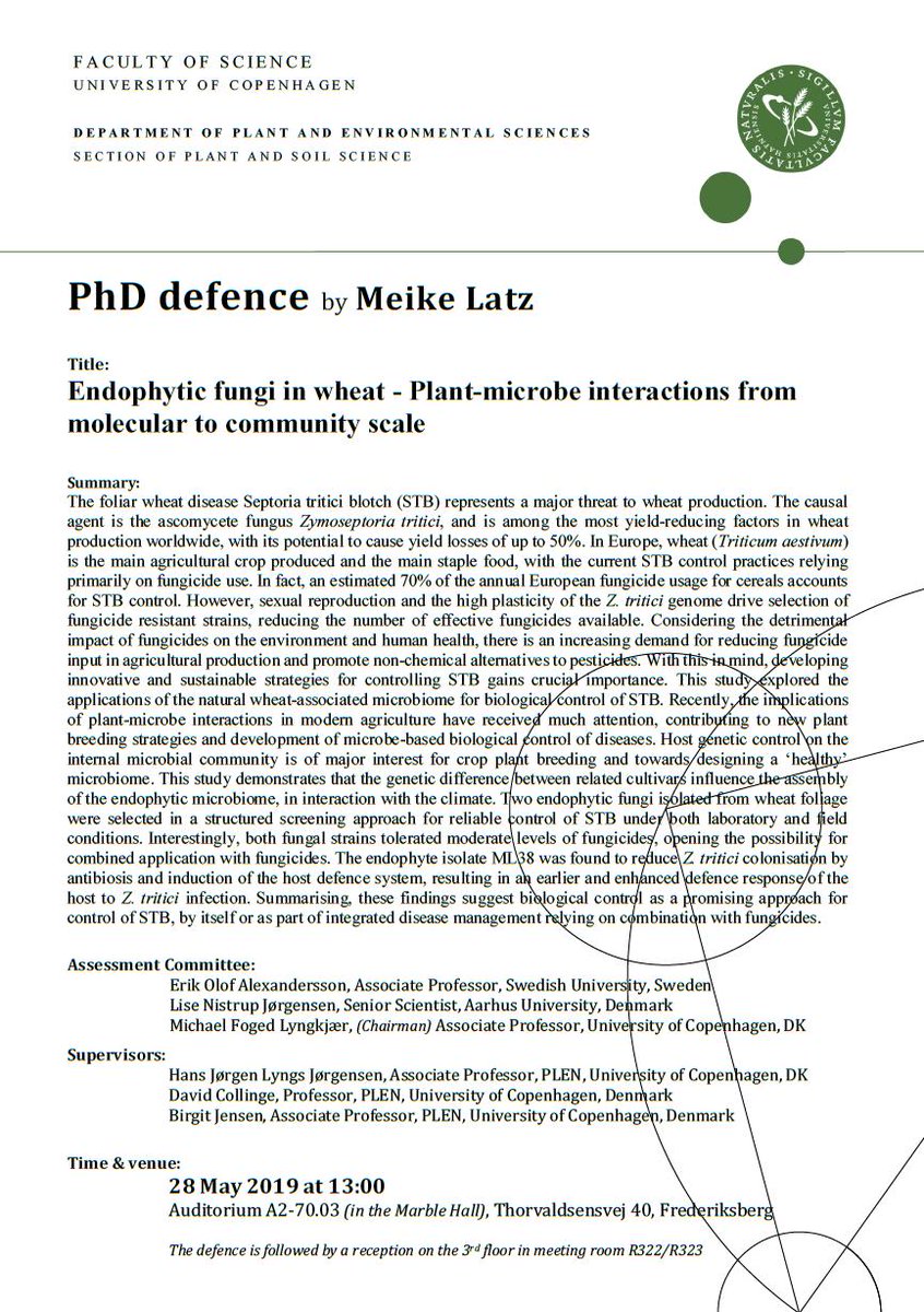 Come to my PhD defence May 28th to hear about the wheat microbiome and  how natural wheat-associated microorganisms can be used in biological  control of wheat diseases! #sustainableagriculture #wheat #microbiome #endophytes  @Zymoseptoria #msca #h2020