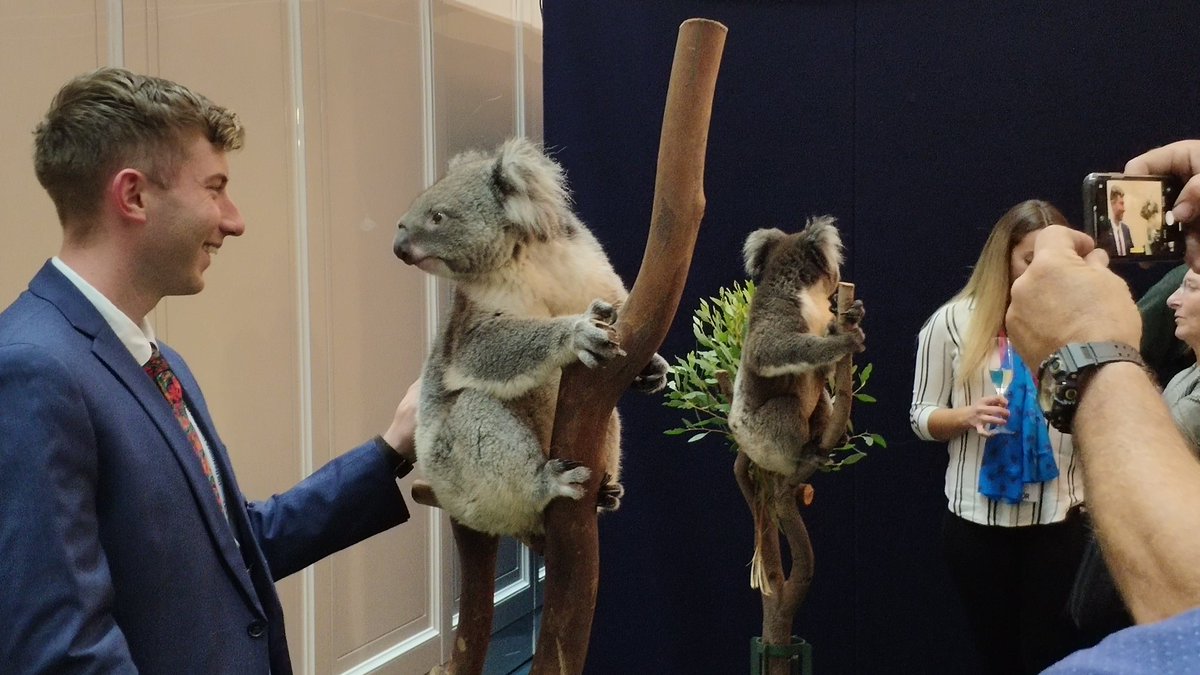 Spillcon2023's tweet photo. Excitement at the #Spillcon2019 welcome reception https://t.co/GZh4mRj0XM