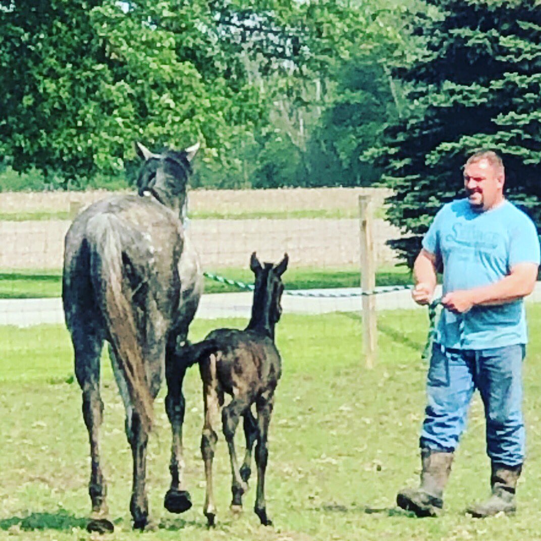 Mama and week-old Huntington’s Prayer enjoying the sunshine. #foals #thoroughbredfoals #thoroughbreds #thefarrerm #sunshine #farmlife