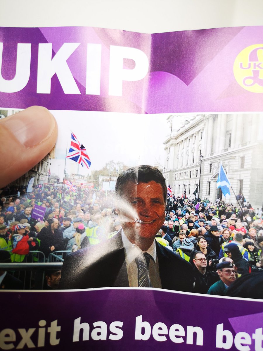 RomeoDone8's tweet photo. My pup just ran downstairs as the letterbox went (as per usual) and managed to get a direct bite to this cunts head.

#FuckUKIP https://t.co/0AMLReOlCm