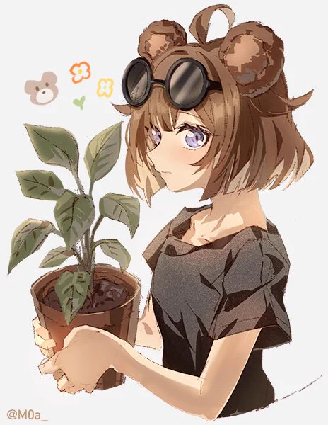子熊 #ドルフロ 