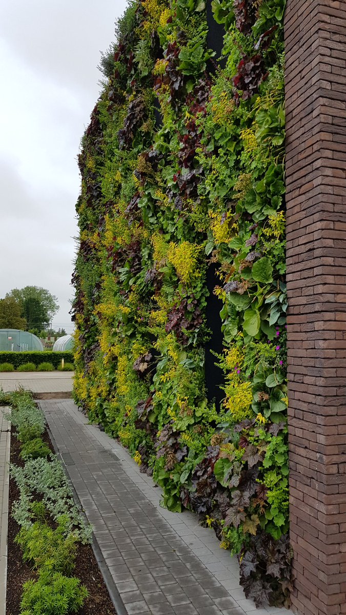 BrunoGobin's tweet photo. Hana Narvaez from @StefanoBoeri architects explains how forestation of buildings can add significant CO2 capture, O2 production an biodiversity increase.
A true vertical park
#groenegevels study day
@pcsierteelt
#WTCB https://t.co/oaxBAoGlPy