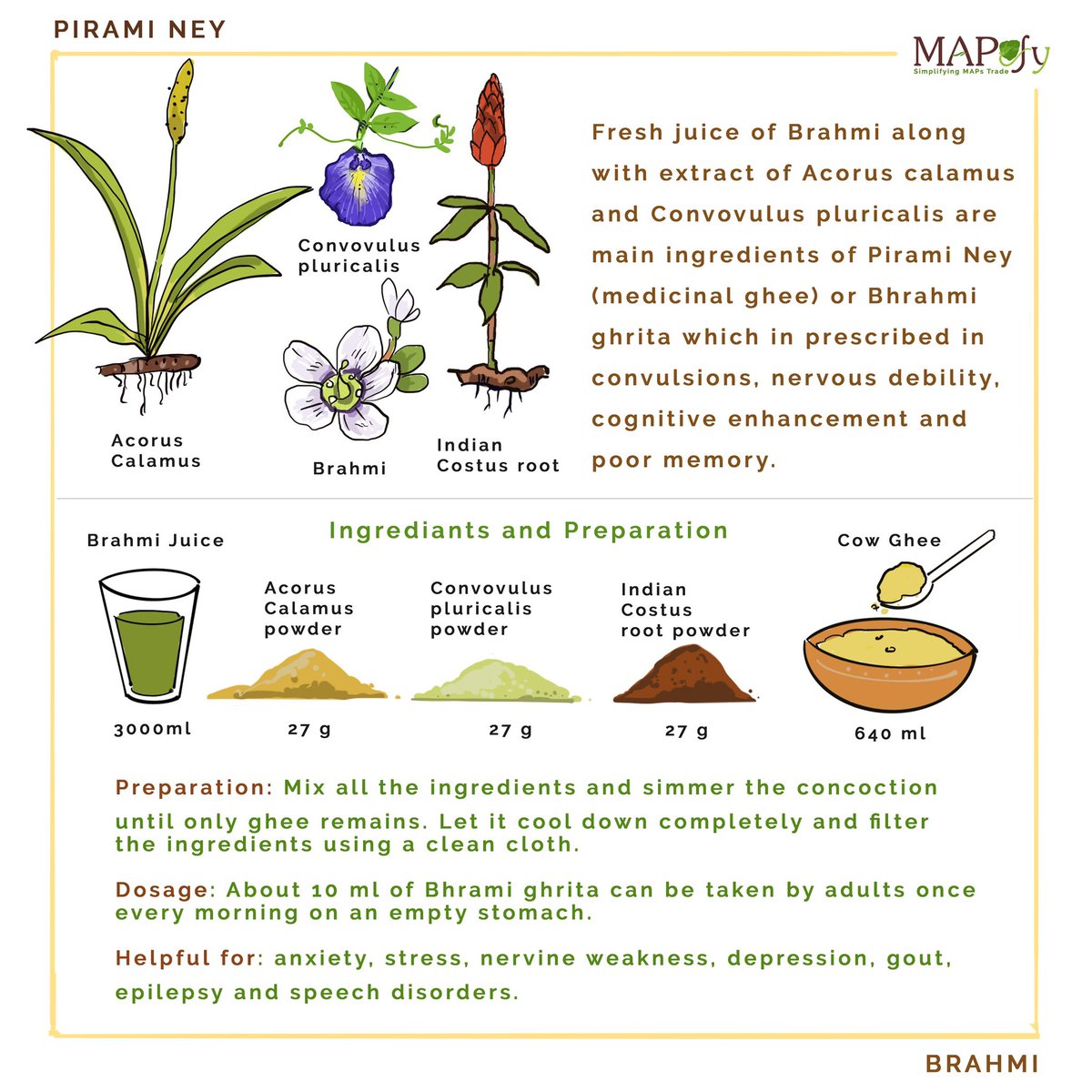 In Ayurveda, Pirami Ney (medicinal ghee) or Bhrahmi ghrita is prescribed in convulsions, nervous debility, cognitive enhancement and poor memory. #weed #weededibles #alzheimers #ayurveda #herbal #medicinalplants #pharmacopeia #mapefy 
Visit mapefy.com/bacopa_monnieri for more detail