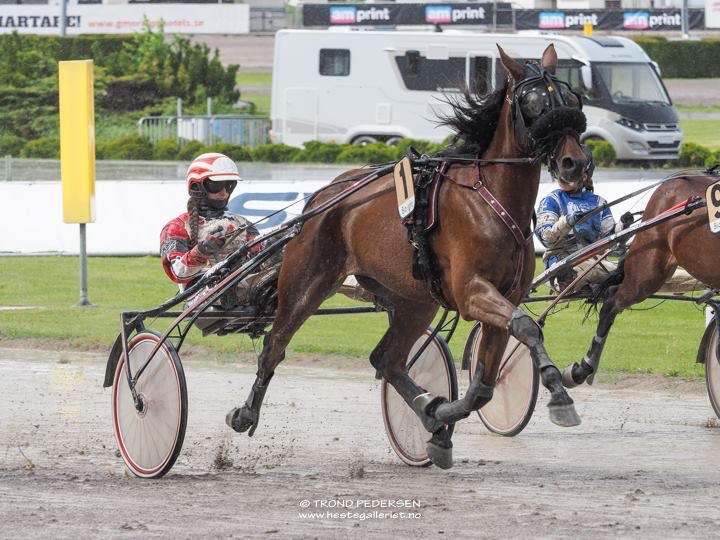 Snart går siste flyttelasset hjem til Norge. Og jeg vil være tilgjengelig som kusk/rytter på @LeangenTravbane igjen. Jeg kjører og rir gjerne neste mandag 27.mai 🇳🇴😃🐎💨 #dameløp #monteløp