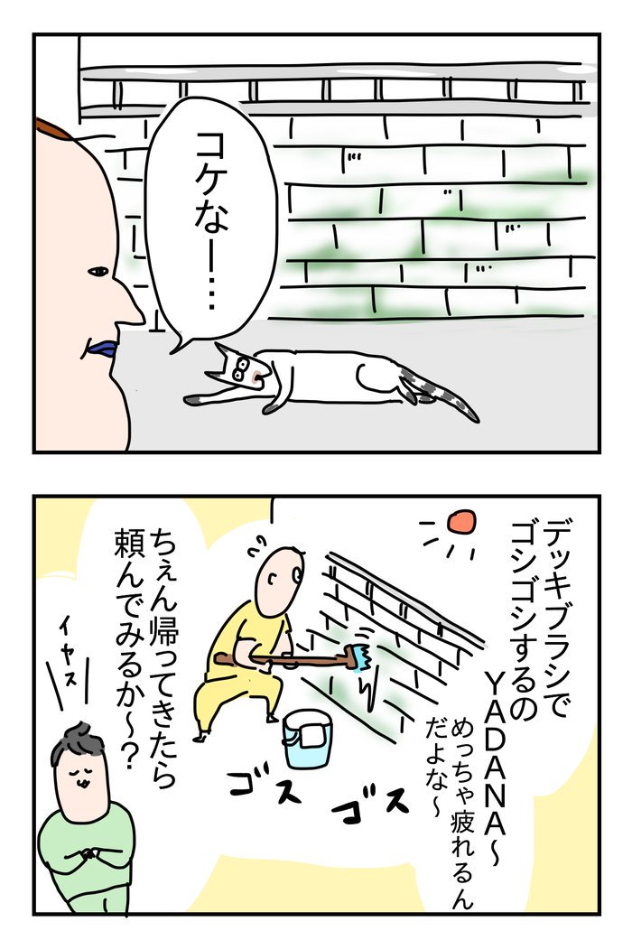 コケキエータ
ブログ▶https://t.co/GDyySrYASj
ゾンアマ▶ 