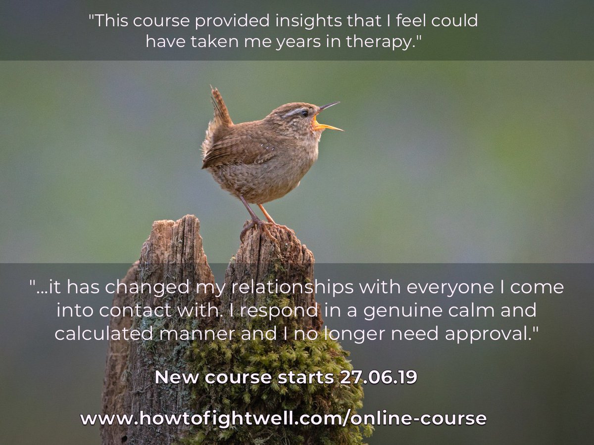 Another round of How to Fight Well starts on the 27th June. Six places left if you'd like to join us. howtofightwell.com/online-course