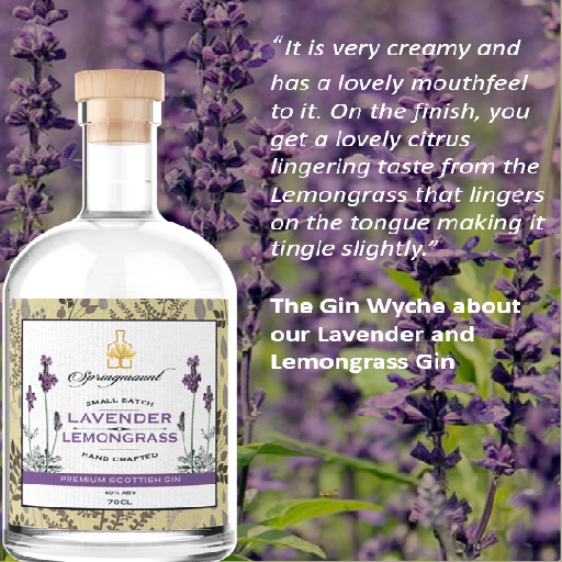 SpringmountG's tweet photo. #springmountgin #scottishgin  #craftgin  #smallbatchgin #ginjourney #alwaystimeforgin  #instagin #newgin #gincollection #welovegin #womenprenuers #mondaymood #mondaymorning
#MondayFunday #ManicMonday #lavender #lemongrass #lavenderandlemongrassgin #organiclavender https://t.co/Czn9Oa3tx5