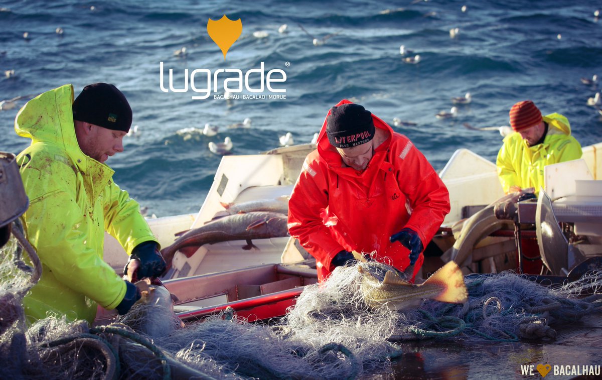 lugradeSA's tweet photo. Hoje comemora-se o Dia Europeu do Mar! 🌊

Este ano é Lisboa que acolhe estas celebrações onde o tema central é a Economia Azul Sustentável da Europa.
É importante assinalarmos esta data, particularmente pelo facto de ser o habitat do nosso Fiel Amigo. 😊 https://t.co/gsbTDU1qka