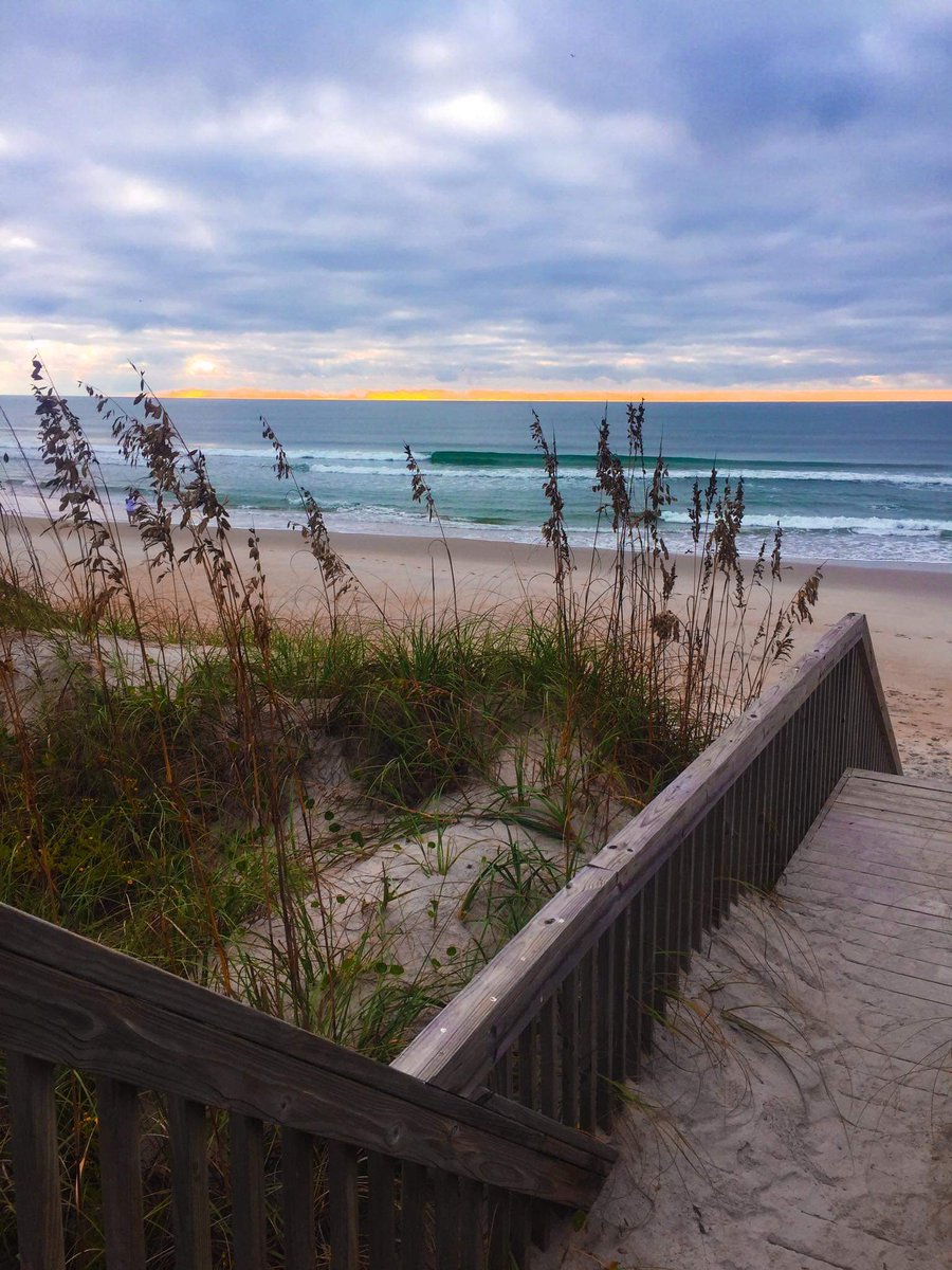 MyrtleFor's tweet image. 