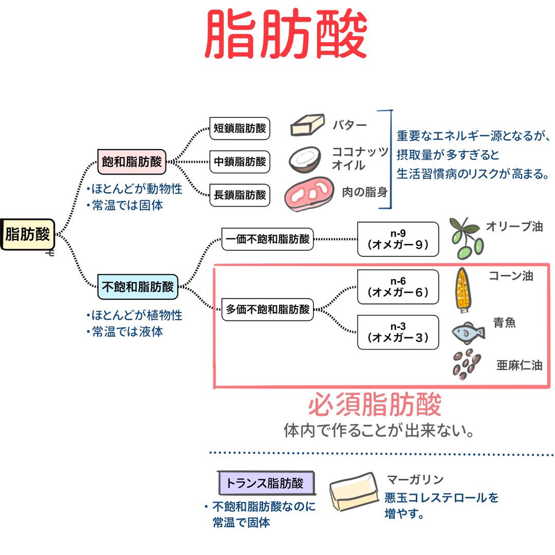 ゴロ 解剖生理イラスト イラスト図解で分かる 脂肪酸 飽和脂肪酸と不飽和脂肪酸の違いが良く分からない人へ