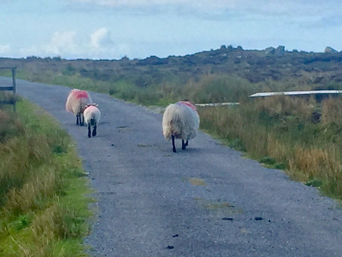 BrendaKingFI's tweet photo. ‘Yesterday, we were in #America’ Austrian journalists Sabine Salzmann & Daniela Grössing pause to read this epic quote by John Alcock& Arthur Whitten Brown at #Derrigimlagh the site where their plane landed in June 1919 #FirstTransatlanticflight #AlcockandBrown @Failte_Ireland ☘️ https://t.co/uUD5yjGJZP