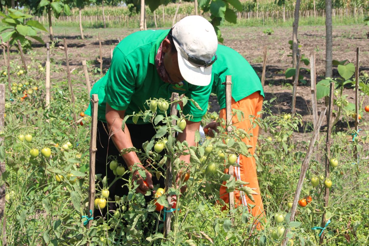 ITS Bantu Atasi Masalah Limbah Organik di Tuban: Kampus ITS, ITS News – Guna menjunjung salah satu Tri Dharma perguruan tinggi yakni pengabdian pada masyarakat, Institut Teknologi Sepuluh Nopember (ITS) terus berupaya membantu mengatasi permasalahan yang… dlvr.it/R535Dc
