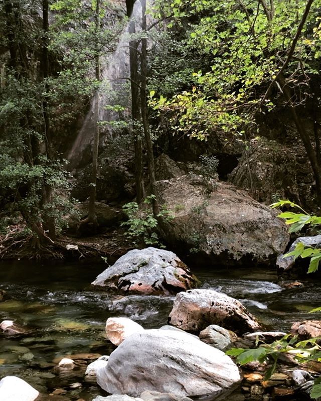 “With no company but my own boredom, I began for the first time in my life to look at nature, and to regret that I knew its language as little as I know Greek. I became aware of stones, birds, flowers, land, in a new way, and all the walking, the swimmin… bit.ly/2LW0bhf