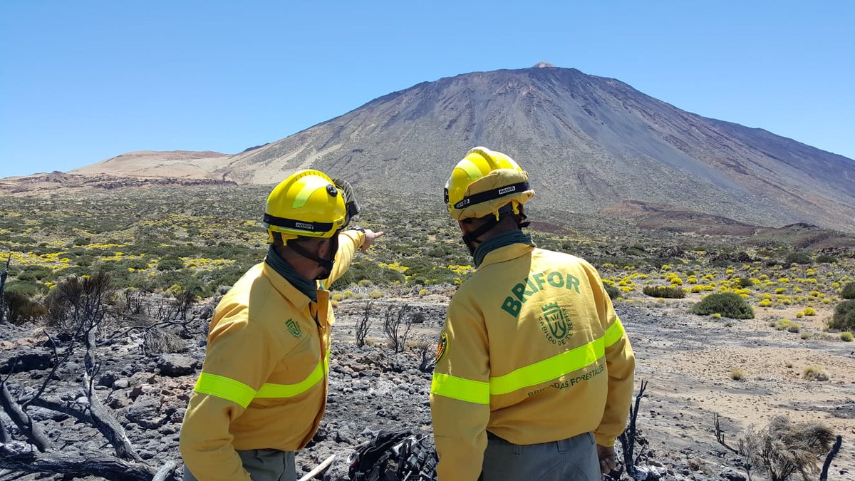 MedioNaturalTF's tweet photo. Compartimos más imágenes de las labores realizadas para controlar el #IFTeide. 📸👉 En algunas de ellas, se puede apreciar la zona de #LaFortaleza en el fondo, área donde se consiguió evitar el alcance del fuego. ⛰ #MedioAmbienteTF https://t.co/ixEOjqknxI https://t.co/9aHuvRuJUl