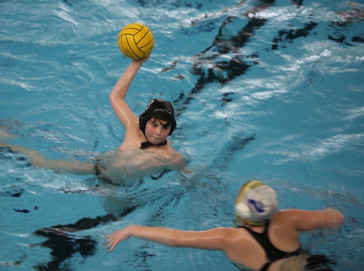Children's Academy (@liuchildrens) on Twitter photo We have WATER POLO! The country's fastest growing sport is a staple of our camp. If you want a fun, engaging and super athletic activity for YOUR child this summer, check out <a href="/LIUBrooklyn/">LIU Brooklyn</a> We have WATER POLO! The country's fastest growing sport is a staple of our camp. If you want a fun, engaging and super athletic activity for YOUR child this summer, check out <a href="/LIUBrooklyn/">LIU Brooklyn</a>