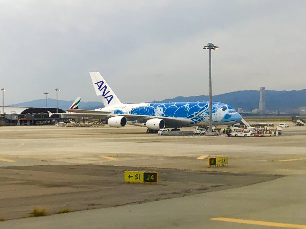 T K1160 4 11 関西空港にて おもちゃは沖縄行っていただきました フライングホヌ A380 Ana 関空 関西国際空港 エアバス Airbus Kix T K1160 4 11 関西空港にて おもちゃは沖縄行っていただきました フライングホヌ A380 Ana 関空 関西国際空港 エアバス Airbus Kix