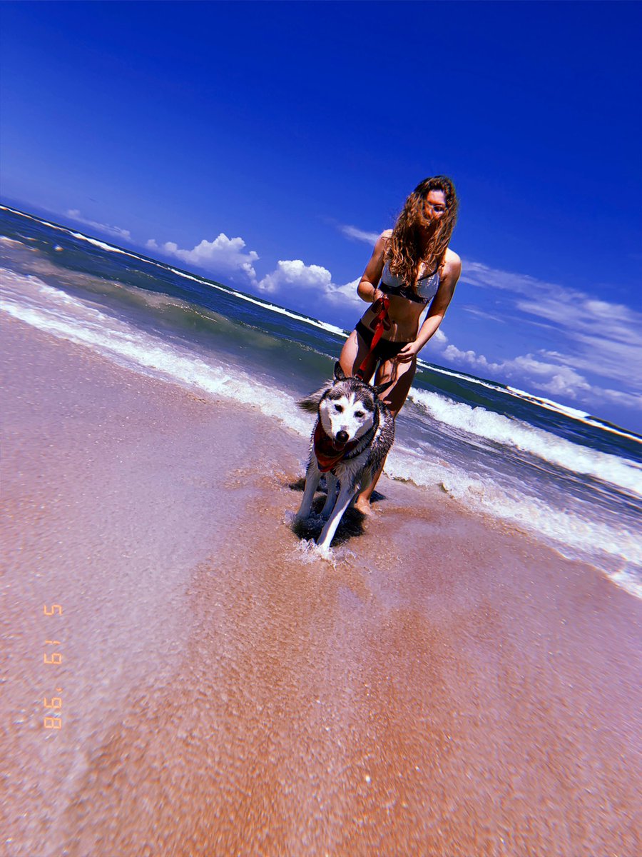 rgrzn99's tweet photo. Me escapé con Tazzy a la playita 🏖🐺 #beachwolf #husky #babyboy https://t.co/2NyDngfSXQ