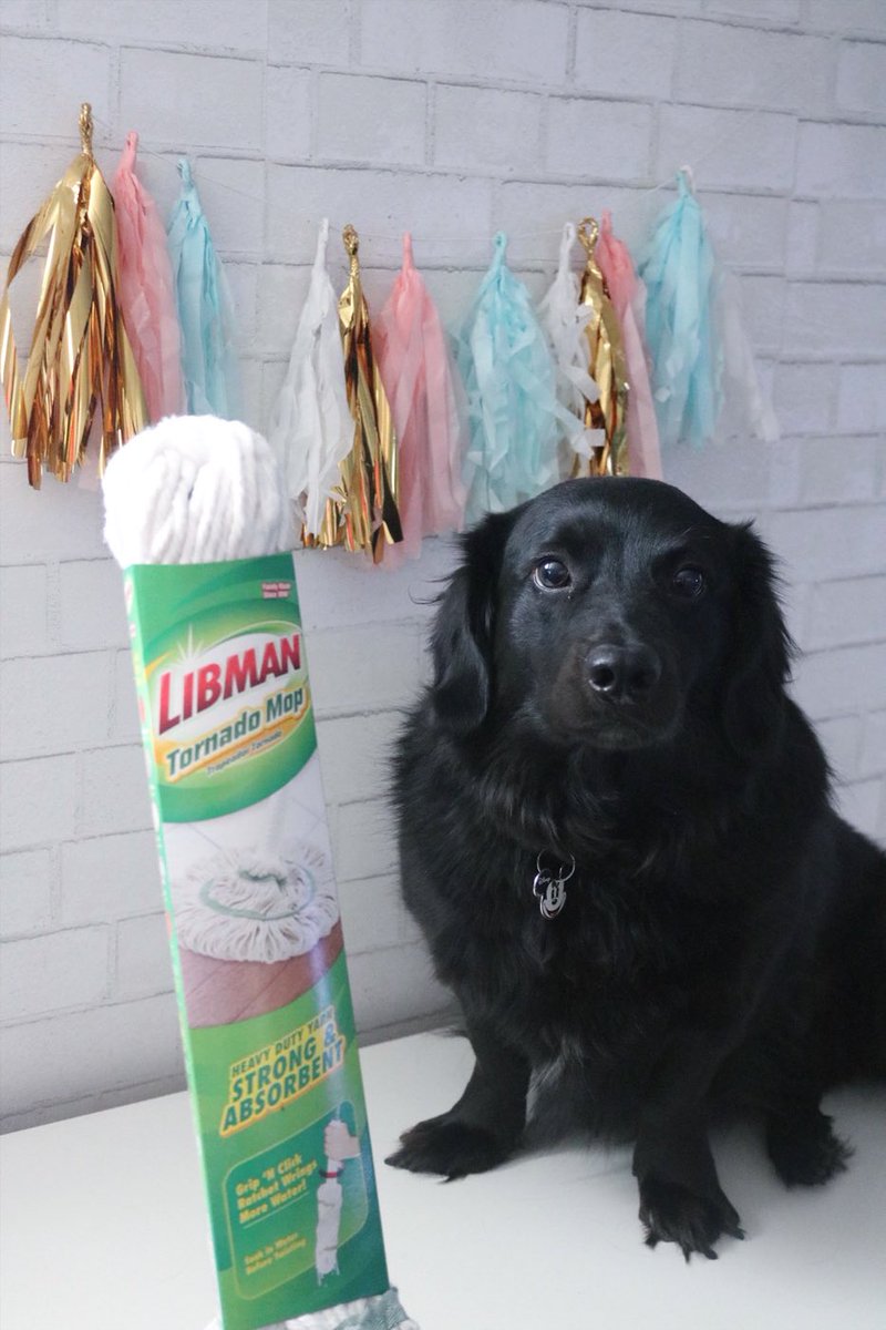 SimplySinova's tweet photo. CALLING ALL DOG PARENTS! This is a MUST for cleaning up after your furry friend: 👉 https://t.co/61y8h6LN3f 👈! Find out how you can save $3 HERE: https://t.co/61y8h6LN3f #ad #TheLibmanCompany #EmbraceLifesMesses https://t.co/sBoUaKtDsy