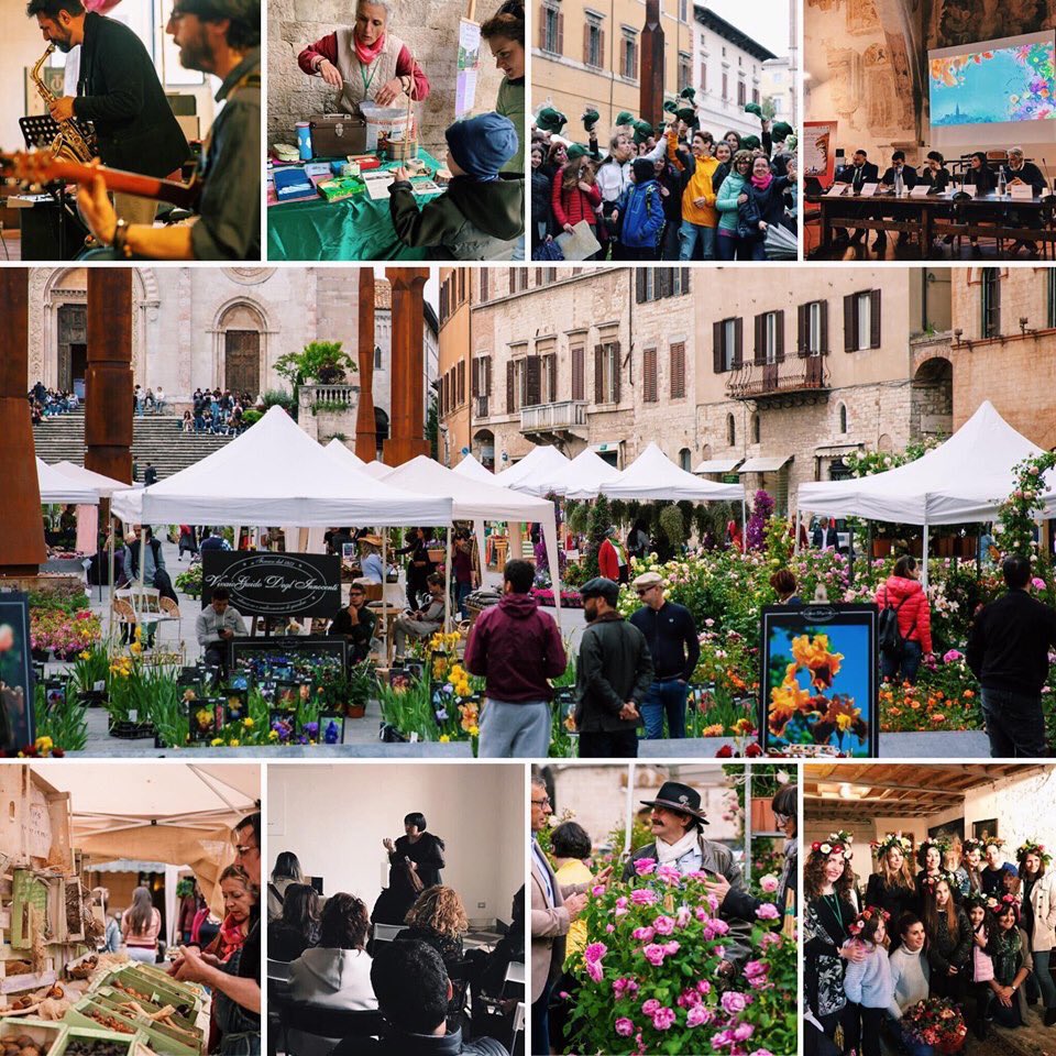 Todi Fiorita tweet media