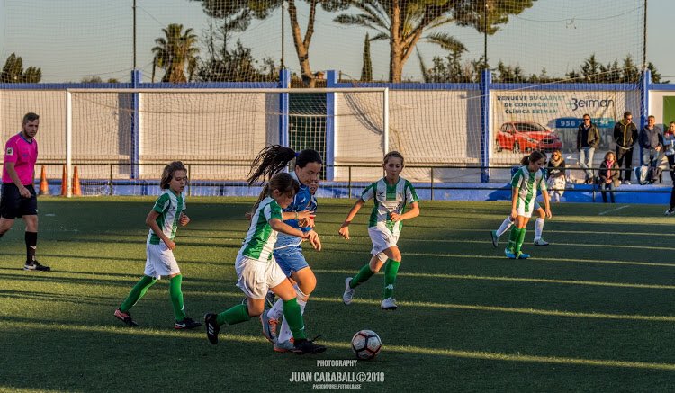 ascffemenino's tweet photo. Alevín | Hoy nuestras pequeñas se marchan hasta Jerez para disputar el partido de Copa Femenina ante el Al Andalus Féminas a las 19:00H. ¡Vamos chicas! ⚽️💚
#SoyMujerSoyFútbol #ASCFF https://t.co/UEWPyF4I5z